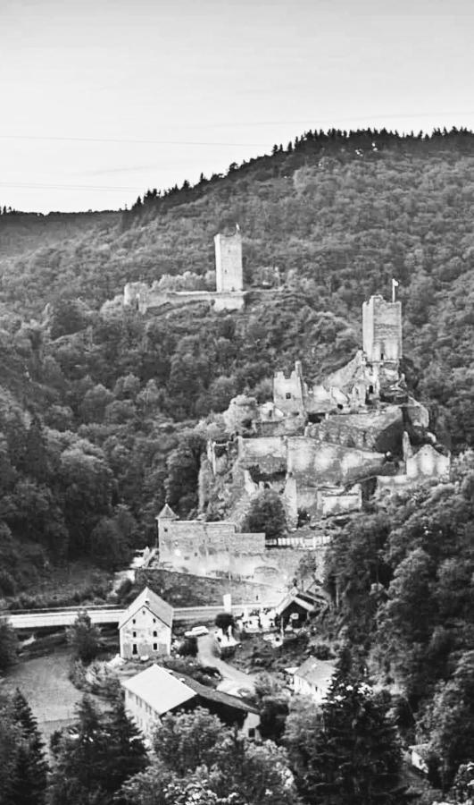 Herberg Die Alte Schleuse Мандершайд Екстер'єр фото